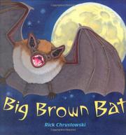 Cover art for BIG BROWN BAT