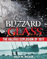 Book Cover for BLIZZARD OF GLASS