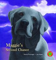 Cover art for MAGGIE'S SECOND CHANCE