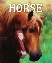 Cover art for HORSE