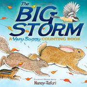 Book Cover for THE BIG STORM