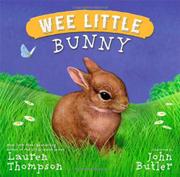 Book Cover for WEE LITTLE BUNNY