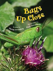 Cover art for BUGS UP CLOSE