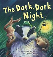 Book Cover for THE DARK, DARK NIGHT