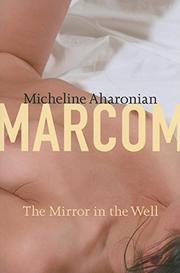 Book Cover for THE MIRROR IN THE WELL
