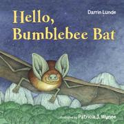 Cover art for HELLO, BUMBLEBEE BAT