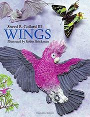 Book Cover for WINGS