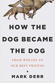 Book Cover for HOW THE DOG BECAME THE DOG