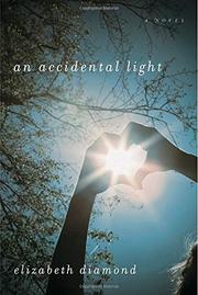 Cover art for AN ACCIDENTAL LIGHT