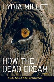 Book Cover for HOW THE DEAD DREAM