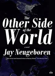 Book Cover for THE OTHER SIDE OF THE WORLD