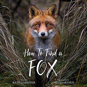 HOW TO FIND A FOX