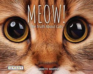 MEOW! THE TRUTH ABOUT CATS | Kirkus Reviews