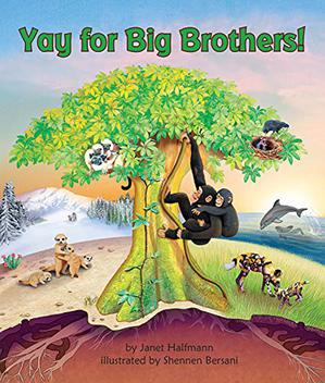 YAY FOR BIG BROTHERS! 1 9781643518220