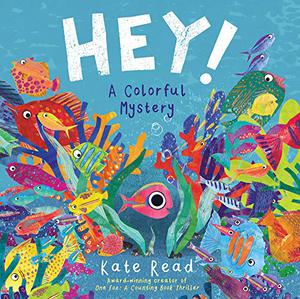 HEY! A COLORFUL MYSTERY 1 9781682633274