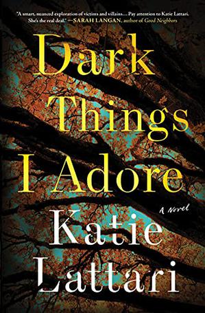 DARK THINGS I ADORE 1 9781728229843