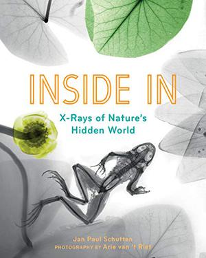 INSIDE IN