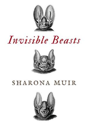 INVISIBLE BEASTS