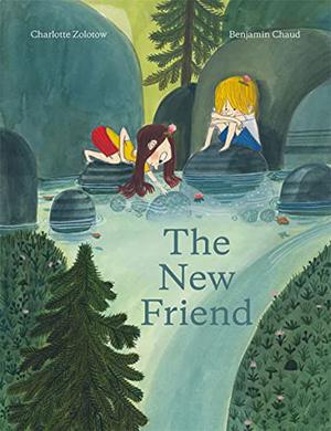 THE NEW FRIEND 1 9781990252013