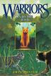 Cover art for INTO THE WILD