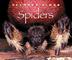 Cover art for SPIDERS