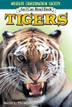 Cover art for TIGERS