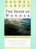 Cover art for THE SENSE OF WONDER
