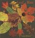 Cover art for LEAF MAN