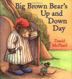 Cover art for BIG BROWN BEAR’S UP AND DOWN DAY