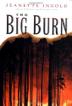 Cover art for THE BIG BURN