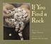 Cover art for IF YOU FIND A ROCK