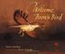 Cover art for WELCOME, BROWN BIRD