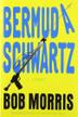Cover art for BERMUDA SCHWARTZ