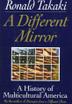 Cover art for A DIFFERENT MIRROR