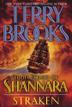 Cover art for HIGH DRUID OF SHANNARA