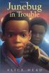 Cover art for JUNEBUG IN TROUBLE