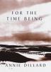 Cover art for FOR THE TIME BEING
