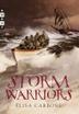 Cover art for STORM WARRIORS