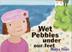 Cover art for WET PEBBLES UNDER OUR FEET