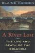 Cover art for A RIVER LOST