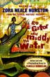 Cover art for GO GATOR AND MUDDY THE WATER