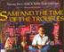 Cover art for SAMI AND THE TIME OF THE TROUBLES