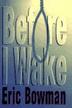 Cover art for BEFORE I WAKE