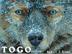 Cover art for TOGO
