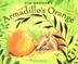Cover art for ARMADILLO’S ORANGE