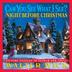 Cover art for CAN YOU SEE WHAT I SEE? THE NIGHT BEFORE CHRISTMAS