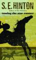 Cover art for TAMING THE STAR RUNNER