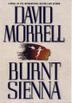 Cover art for BURNT SIENNA