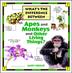 Cover art for WHAT'S THE DIFFERENCE BETWEEN APES AND MONKEYS AND OTHER LIVING THINGS?