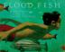 Cover art for FLOOD FISH